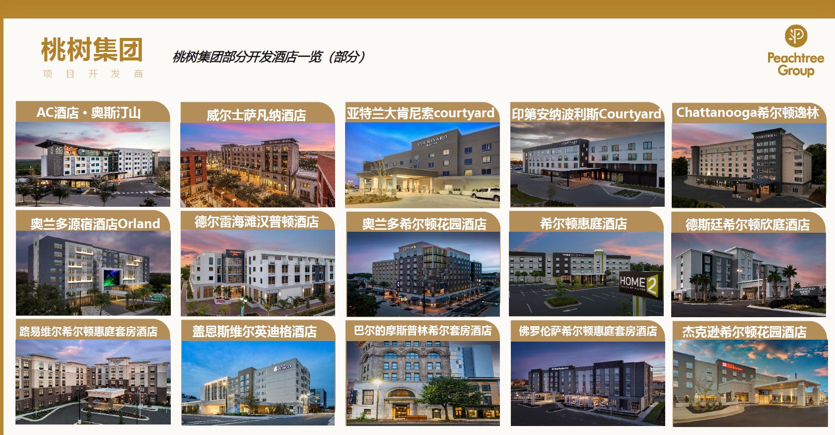 桃樹集團的核心業務是其為EB-5項目提供強有力支持的基石，尤其在資金運作、項目開發、風險控制方面
